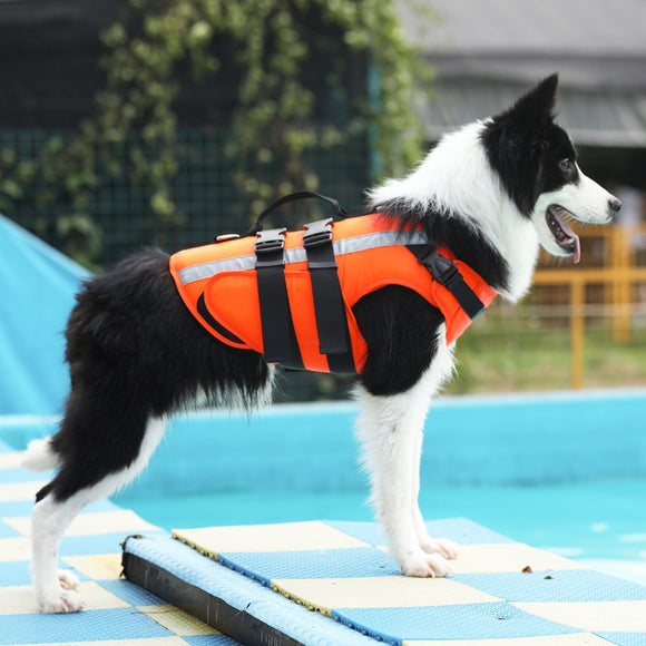 Gilet de sauvetage pour chien