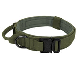 Collier de chien tactique militaire