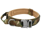 Collier de chien tactique militaire