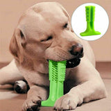 Jouets brosse à dents pour chien en caoutchouc à mâcher naturel non toxiques