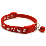 Collier pour chat