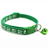 Collier pour chat