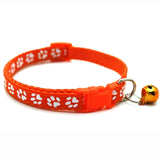 Collier pour chat