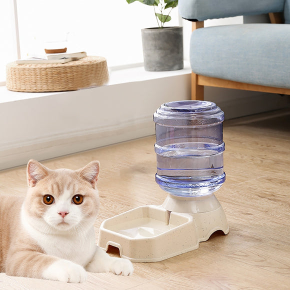 Distributeur nourriture ou eau pour chat