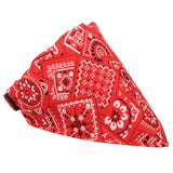 Collier pour chien bandana réglable 3 tailles